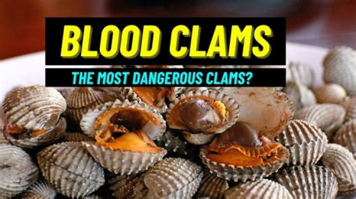 Are blood clams illegal? | ContextResponse.com