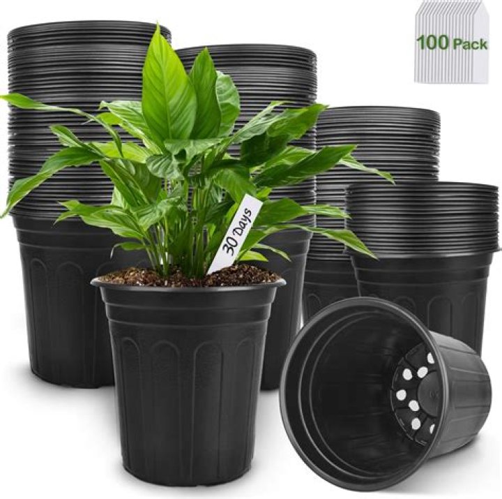 Can plastic pots stay outside in winter?