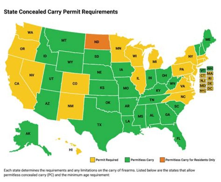 Can you conceal carry in Georgia with a military ID?
