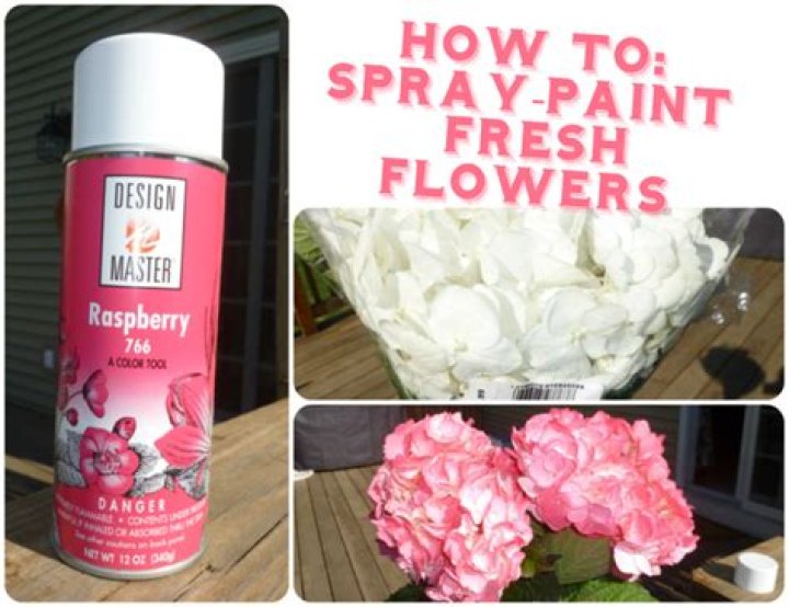 Can you spray paint fresh hydrangeas?