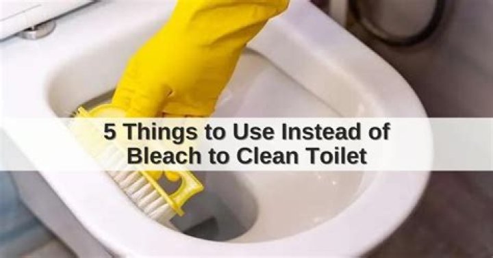 Can you use bleach to clean toilet seat?