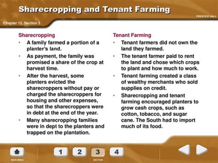 Did sharecropping solve problems? | ContextResponse.com