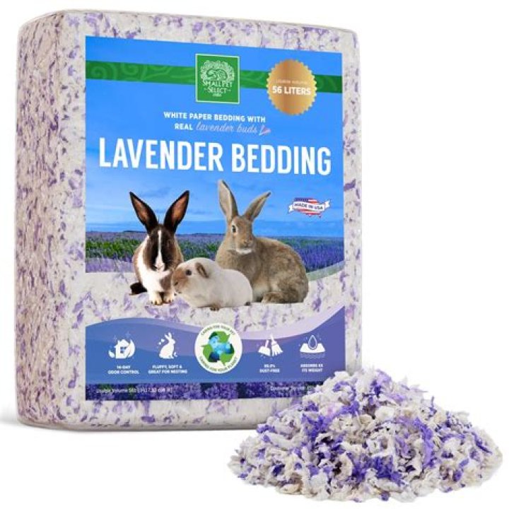 Do indoor rabbits need bedding?