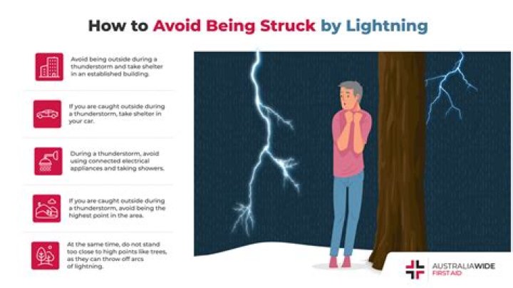 Do trees die after being hit by lightning?
