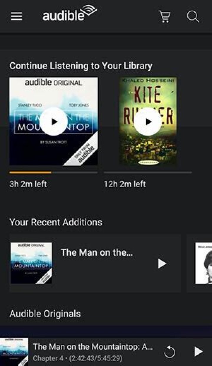 Does audible work with Google home?