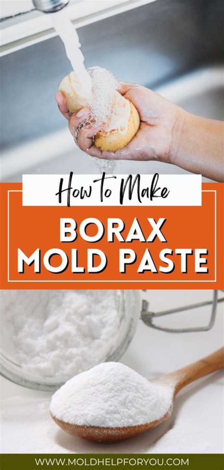 Does Borax remove black mold?