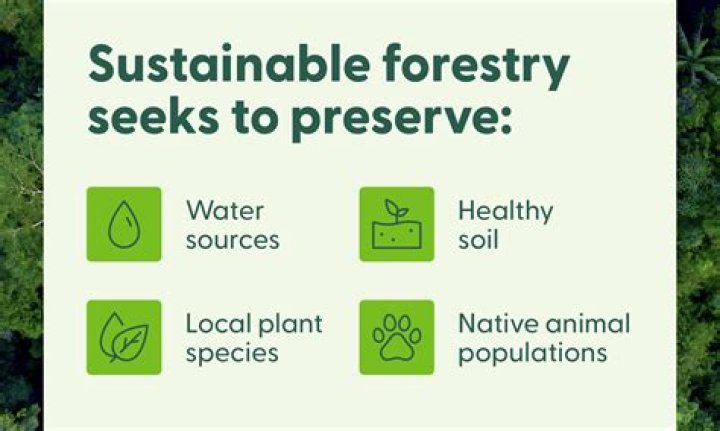 How can forest provide a sustainable yield?