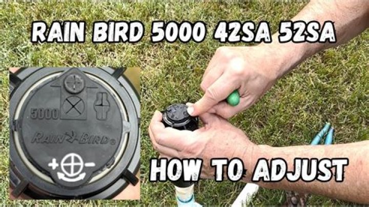 How do I adjust my Rain Bird 42sa?