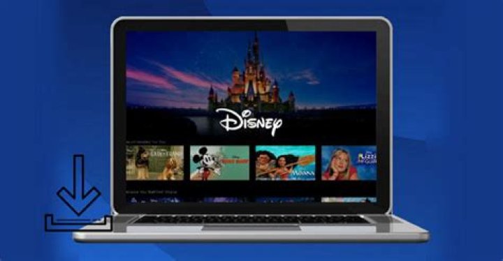 How do I download movies to my laptop to watch offline?