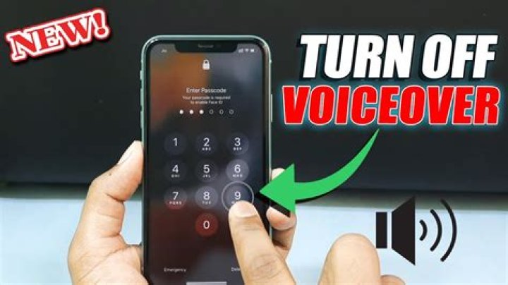 How do I turn off VoiceOver on my iPod?