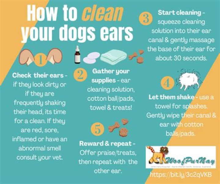 How do you clean a dog's private parts?