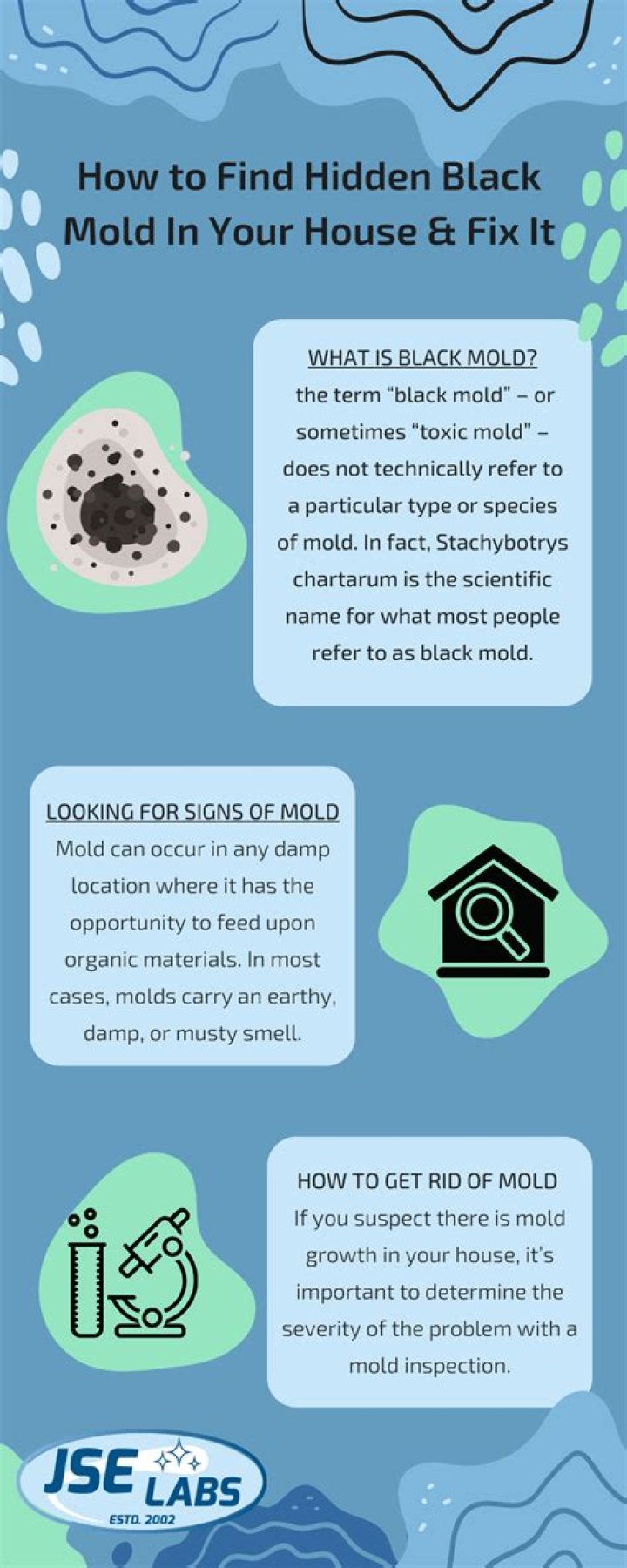 How do you get rid of black mold on walls?