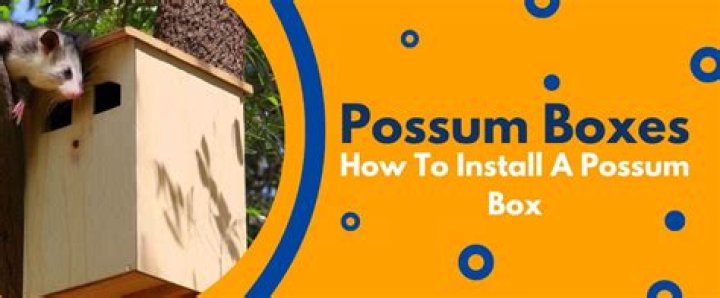 How do you hang a possum box?