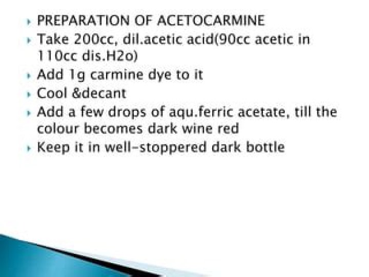 How do you make Acetocarmine?