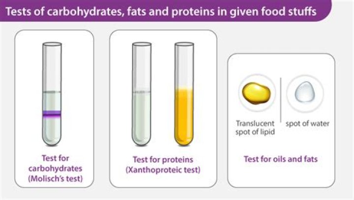How do you test for carbohydrates?