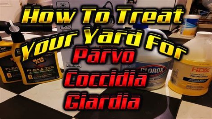 How do you treat your yard for coccidia?