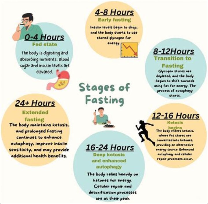 How does fasting help digestion?