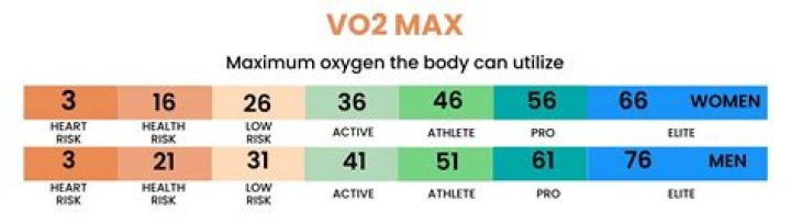 How does Vivosmart 3 measure vo2 max?