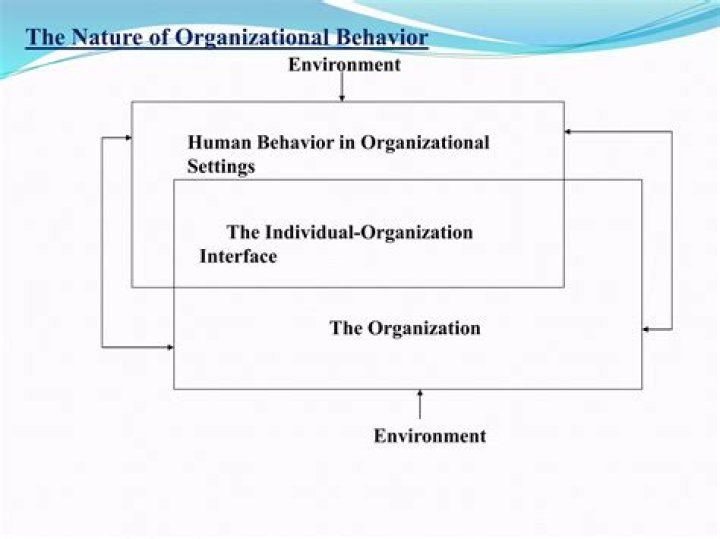 How is study of organizational behavior beneficial for making an organization effective?