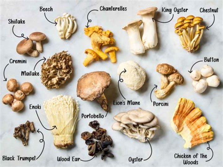 How long can fresh mushrooms be kept in the fridge?