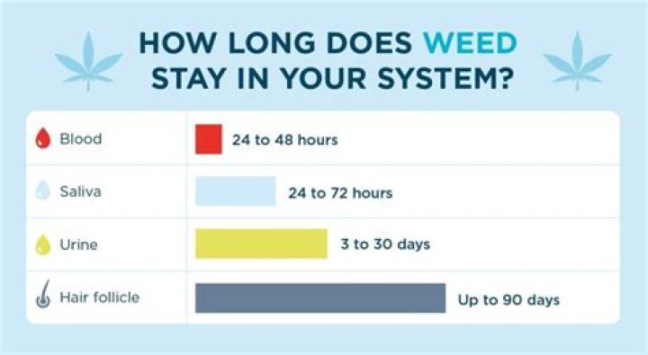 How long does each drug take to leave your system?