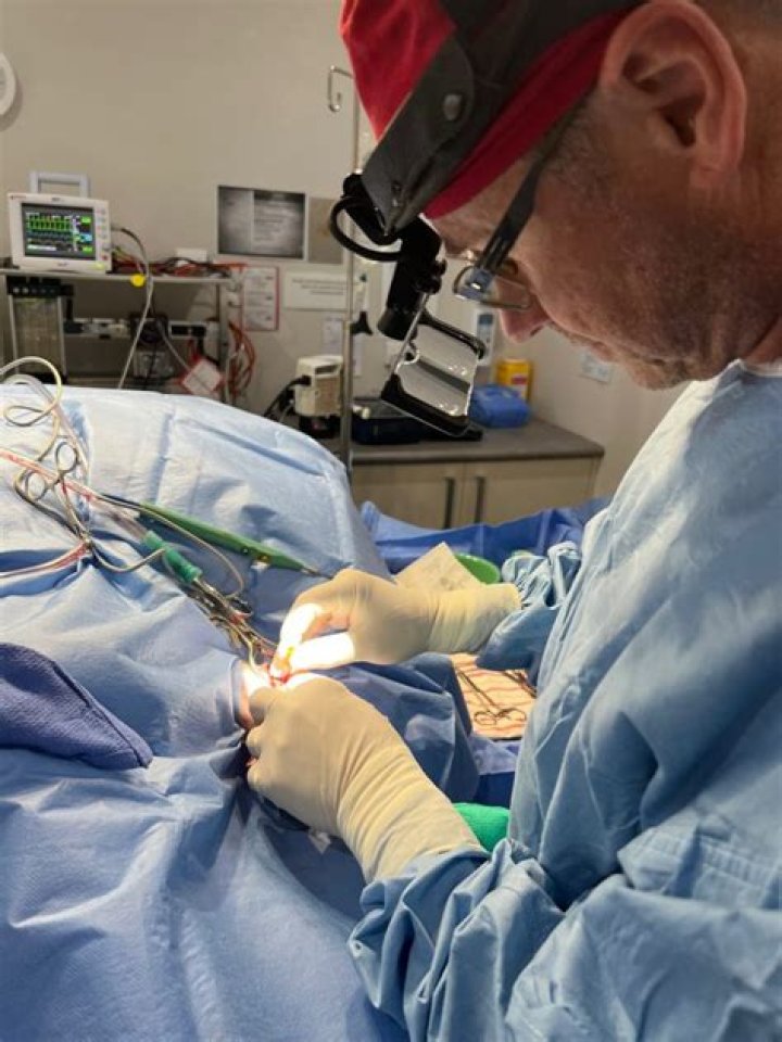 How long does it take for a dog to recover from TPLO surgery?