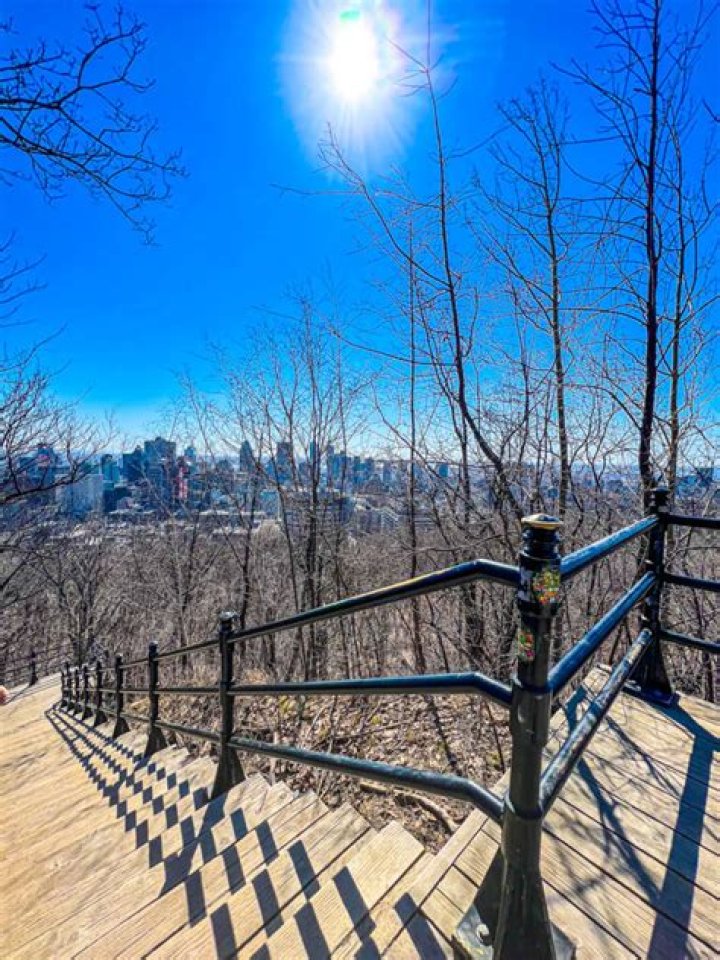 How long does it take to walk up Mont Royal?