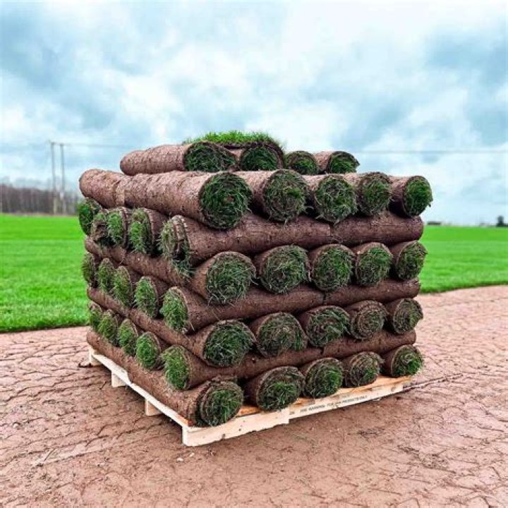 How long does pallet turf last?