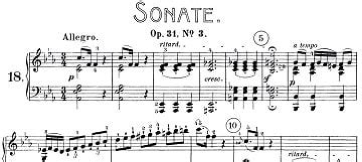 How many Beethoven sonatas are there?