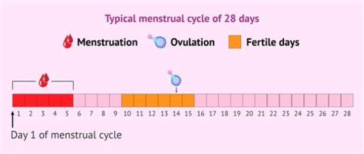 How many days are in a 6 month period?