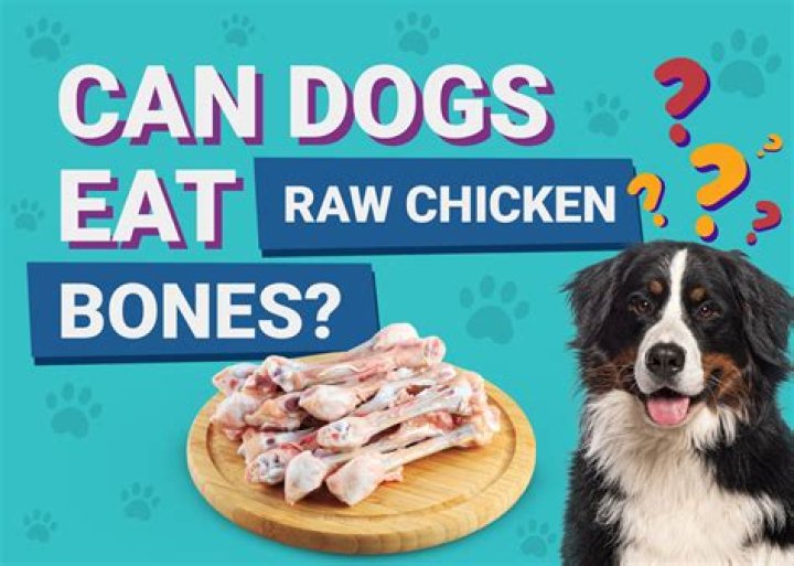 How much carprofen can a dog take?
