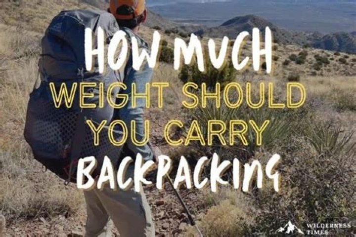 How much should you pay a friend to cat sit?