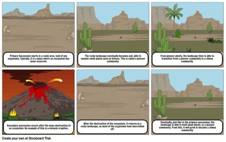 Is a volcano primary or secondary succession?