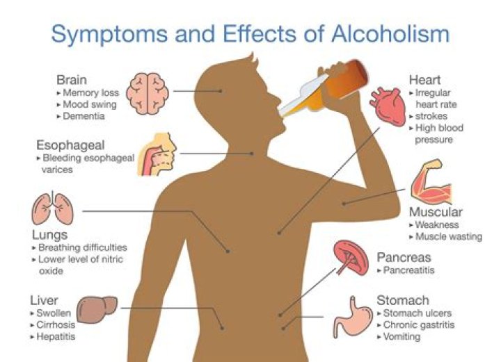 Is alcohol an appetite stimulant?