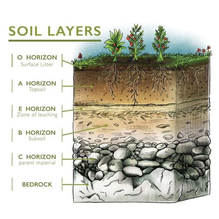 Is all topsoil organic? | ContextResponse.com