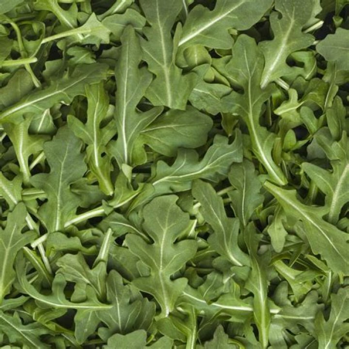 Is arugula safe to eat?