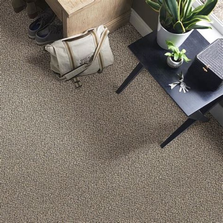 Is Berber carpet good for high traffic areas?