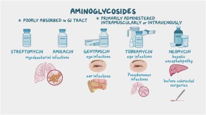 Is gentamicin ototoxicity reversible? | ContextResponse.com