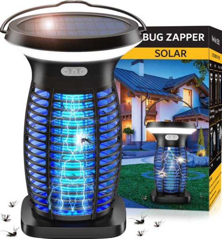 Is it possible to have a mosquito nest in your house?