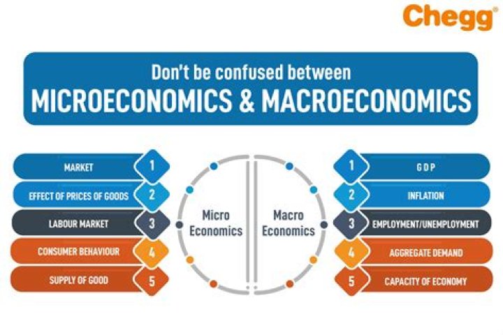 Is labor economics macro or micro?