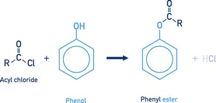 Is phenyl and phenol same?