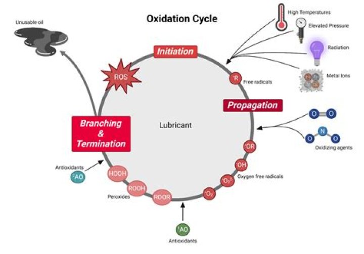 Is rancid oil dangerous? | ContextResponse.com