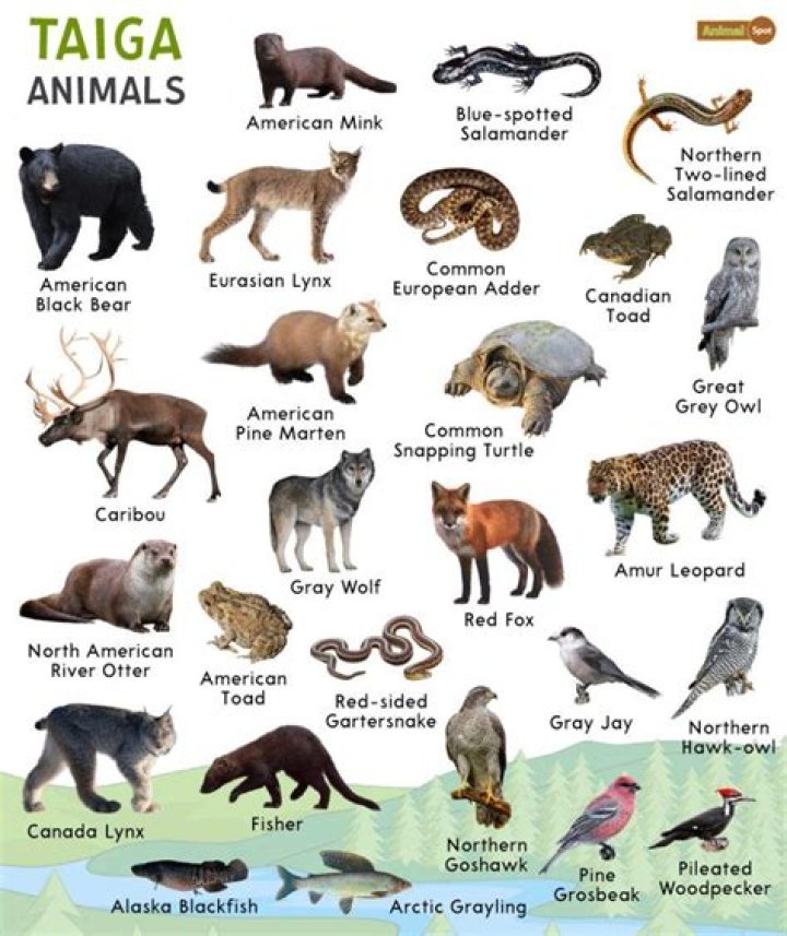 What animals are in the tropical climate?