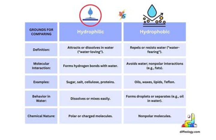 What are examples of hydrophilic molecules?