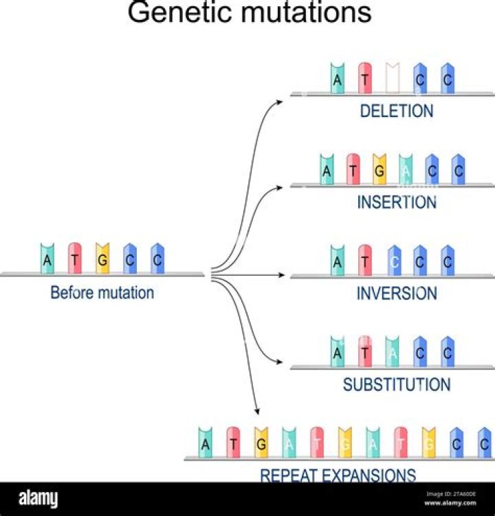 What are ras mutations?