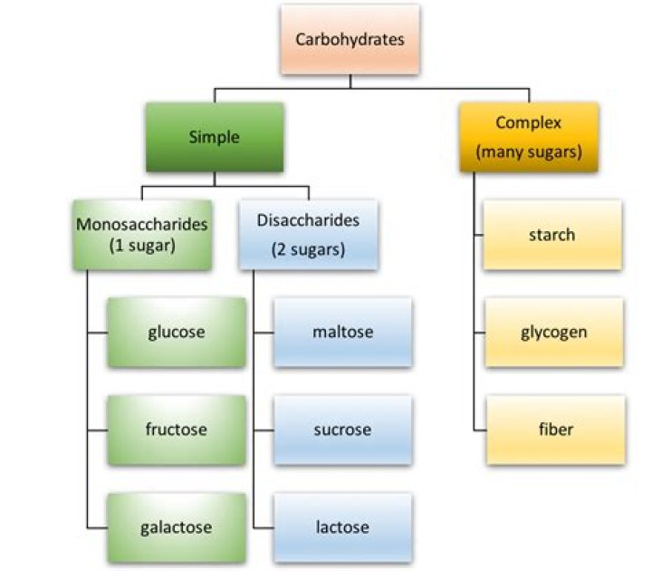 What are simple carbohydrates made of?
