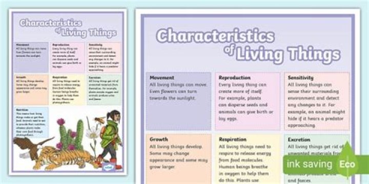 What are the characteristics of a living thing?