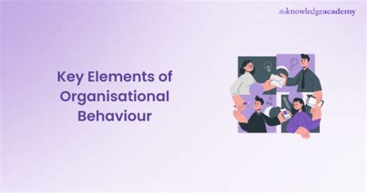 What are the elements of Organisational Behaviour?