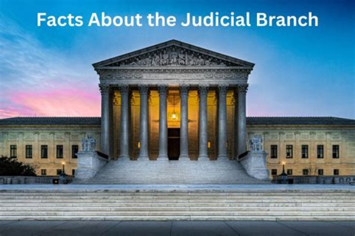 What are the members of the judicial branch called?