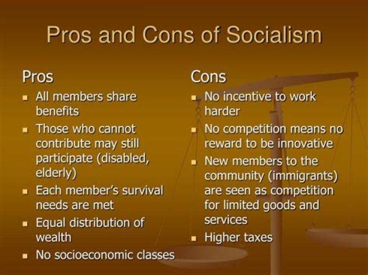 What are the pros and cons to socialism?